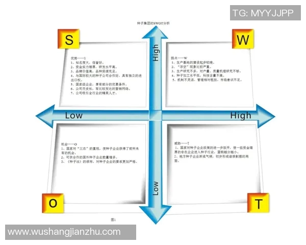 深入分析上海足球队的运营策略与市场推广模式