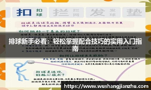 哈哈哈体育