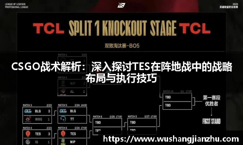 CSGO战术解析：深入探讨TES在阵地战中的战略布局与执行技巧