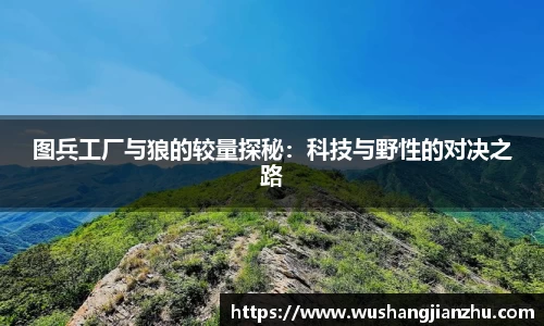 哈哈哈体育