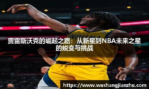 哈哈体育官方网站