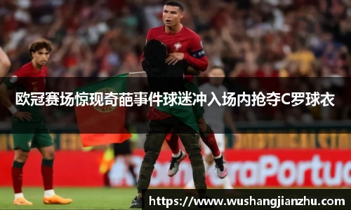 哈哈哈体育