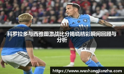 哈哈哈体育